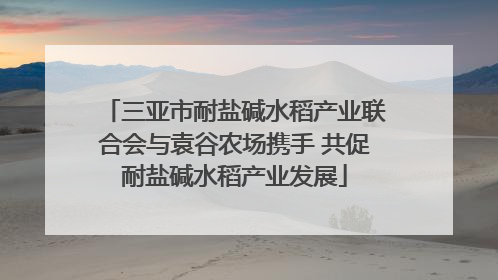 三亚市耐盐碱水稻产业联合会与袁谷农场携手 共促耐盐碱水稻产业发展