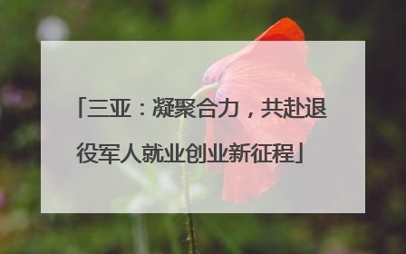 三亚：凝聚合力，共赴退役军人就业创业新征程