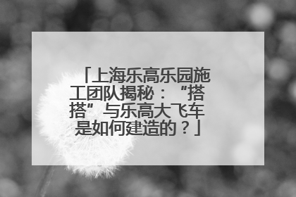 上海乐高乐园施工团队揭秘：“搭搭”与乐高大飞车是如何建造的？