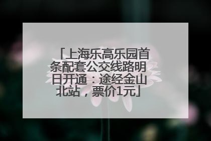 上海乐高乐园首条配套公交线路明日开通：途经金山北站，票价1元
