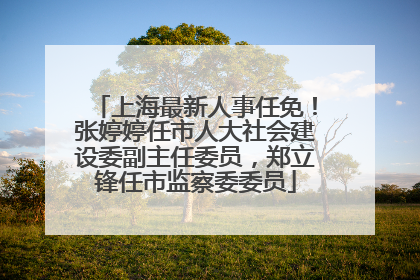 上海最新人事任免！张婷婷任市人大社会建设委副主任委员，郑立锋任市监察委委员