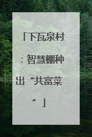 下瓦泉村：智慧棚种出“共富菜”