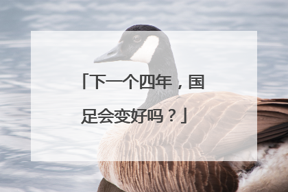 下一个四年，国足会变好吗？