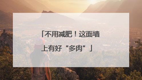 不用减肥！这面墙上有好“多肉”