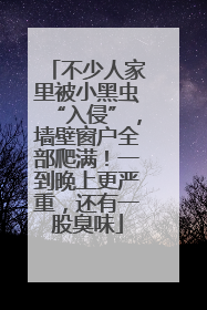 不少人家里被小黑虫“入侵”，墙壁窗户全部爬满！一到晚上更严重，还有一股臭味