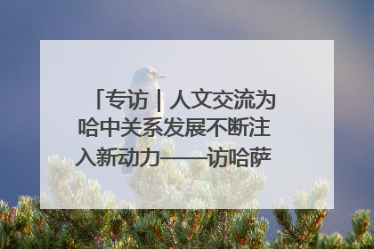 专访｜人文交流为哈中关系发展不断注入新动力——访哈萨克斯坦文化与信息部部长巴拉耶娃