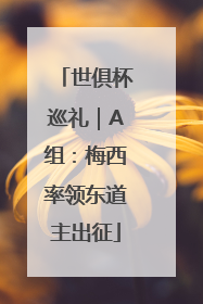世俱杯巡礼｜A组：梅西率领东道主出征