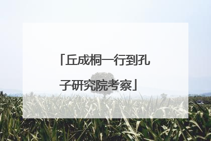 丘成桐一行到孔子研究院考察
