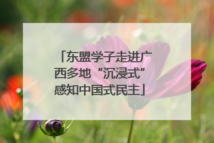 东盟学子走进广西多地“沉浸式”感知中国式民主