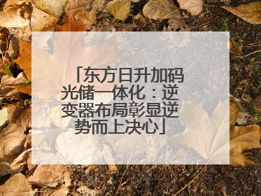 东方日升加码光储一体化：逆变器布局彰显逆势而上决心