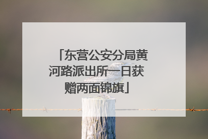 东营公安分局黄河路派出所一日获赠两面锦旗