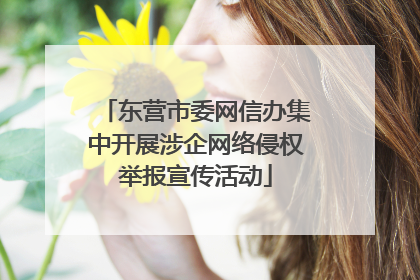 东营市委网信办集中开展涉企网络侵权举报宣传活动
