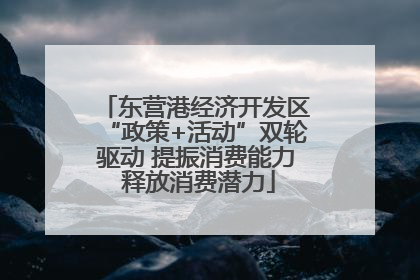 东营港经济开发区“政策+活动”双轮驱动 提振消费能力 释放消费潜力