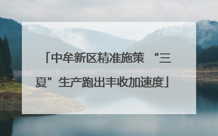 中牟新区精准施策 “三夏”生产跑出丰收加速度