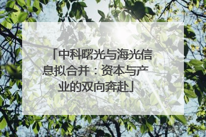 中科曙光与海光信息拟合并：资本与产业的双向奔赴
