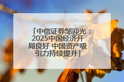 中信证券邹迎光：2025中国经济开局良好 中国资产吸引力持续提升