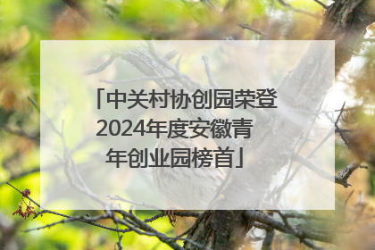 中关村协创园荣登2024年度安徽青年创业园榜首