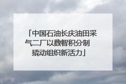 中国石油长庆油田采气二厂以数智积分制 撬动组织新活力