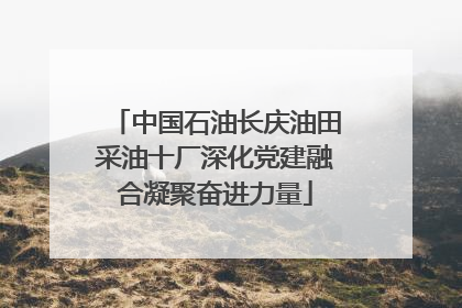 中国石油长庆油田采油十厂深化党建融合凝聚奋进力量