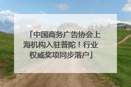 中国商务广告协会上海机构入驻普陀！行业权威奖项同步落户