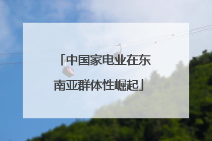 中国家电业在东南亚群体性崛起