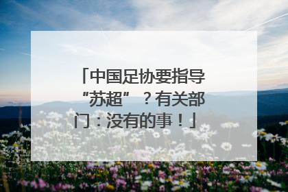 中国足协要指导“苏超”？有关部门：没有的事！