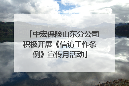 中宏保险山东分公司积极开展《信访工作条例》宣传月活动