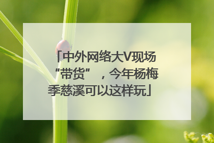 中外网络大V现场“带货”，今年杨梅季慈溪可以这样玩