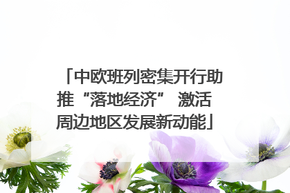 中欧班列密集开行助推“落地经济” 激活周边地区发展新动能
