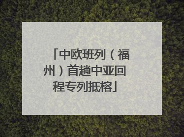 中欧班列（福州）首趟中亚回程专列抵榕