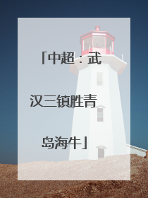中超：武汉三镇胜青岛海牛