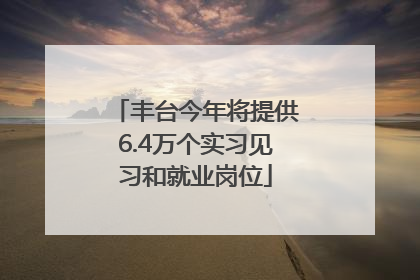 丰台今年将提供6.4万个实习见习和就业岗位
