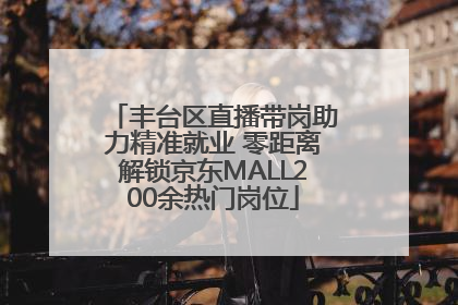 丰台区直播带岗助力精准就业 零距离解锁京东MALL200余热门岗位