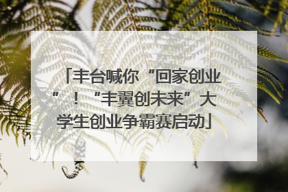 丰台喊你“回家创业”！“丰翼创未来”大学生创业争霸赛启动