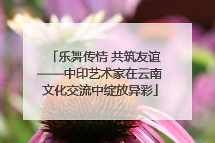 乐舞传情 共筑友谊——中印艺术家在云南文化交流中绽放异彩
