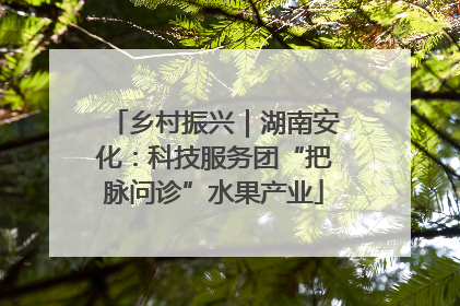 乡村振兴｜湖南安化：科技服务团“把脉问诊”水果产业