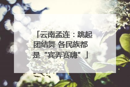 云南孟连：跳起团结舞 各民族都是“宾弄赛嗨”