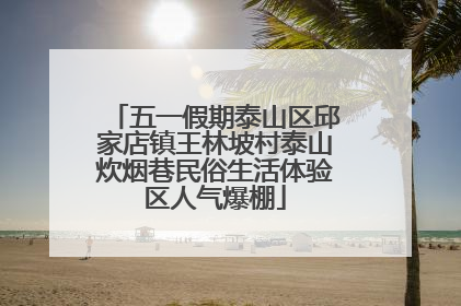 五一假期泰山区邱家店镇王林坡村泰山炊烟巷民俗生活体验区人气爆棚
