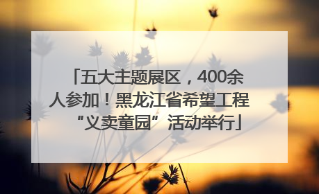 五大主题展区，400余人参加！黑龙江省希望工程“义卖童园”活动举行