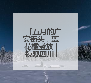 五月的广安街头，蓝花楹盛放丨镜观四川