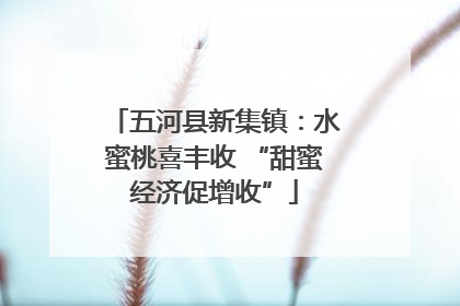 五河县新集镇：水蜜桃喜丰收 “甜蜜经济促增收”