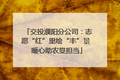 交投濮阳分公司：志愿“红”里绘“丰”景 暖心助农显担当