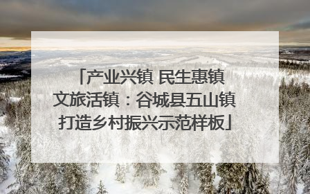 产业兴镇 民生惠镇 文旅活镇：谷城县五山镇打造乡村振兴示范样板