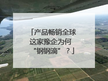 产品畅销全球 这家豫企为何“钢钢滴”？