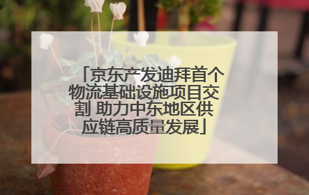 京东产发迪拜首个物流基础设施项目交割 助力中东地区供应链高质量发展