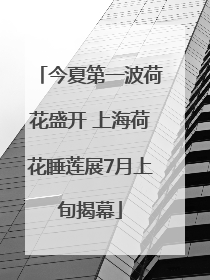 今夏第一波荷花盛开 上海荷花睡莲展7月上旬揭幕