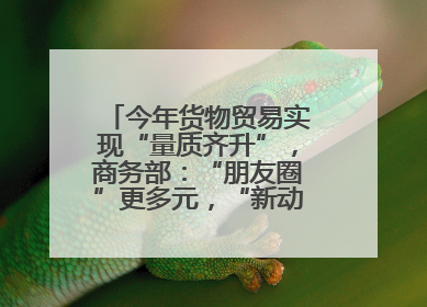 今年货物贸易实现“量质齐升”，商务部：“朋友圈”更多元，“新动能”加快集聚