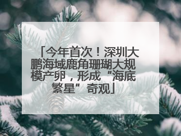 今年首次！深圳大鹏海域鹿角珊瑚大规模产卵，形成“海底繁星”奇观