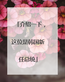 介绍一下，这位是韩国新任总统