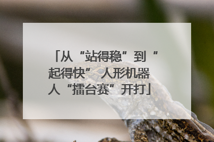 从“站得稳”到“起得快” 人形机器人“擂台赛”开打